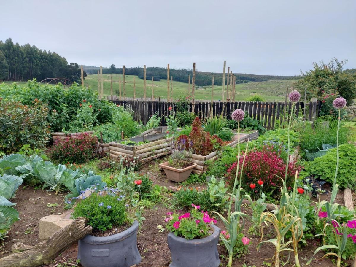 Rocks & Roses Farm Stay Lochiel Exterior photo