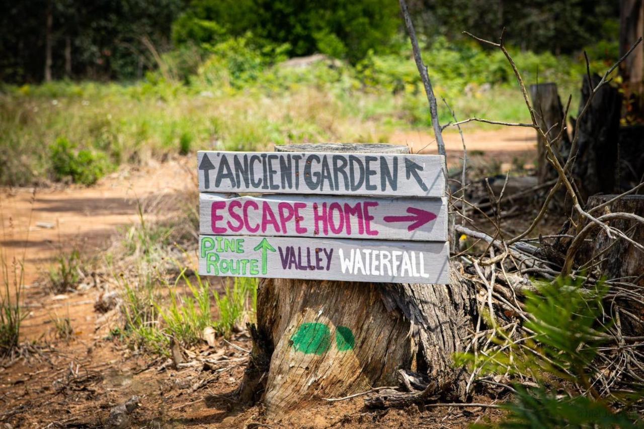 Rocks & Roses Farm Stay Lochiel Exterior photo