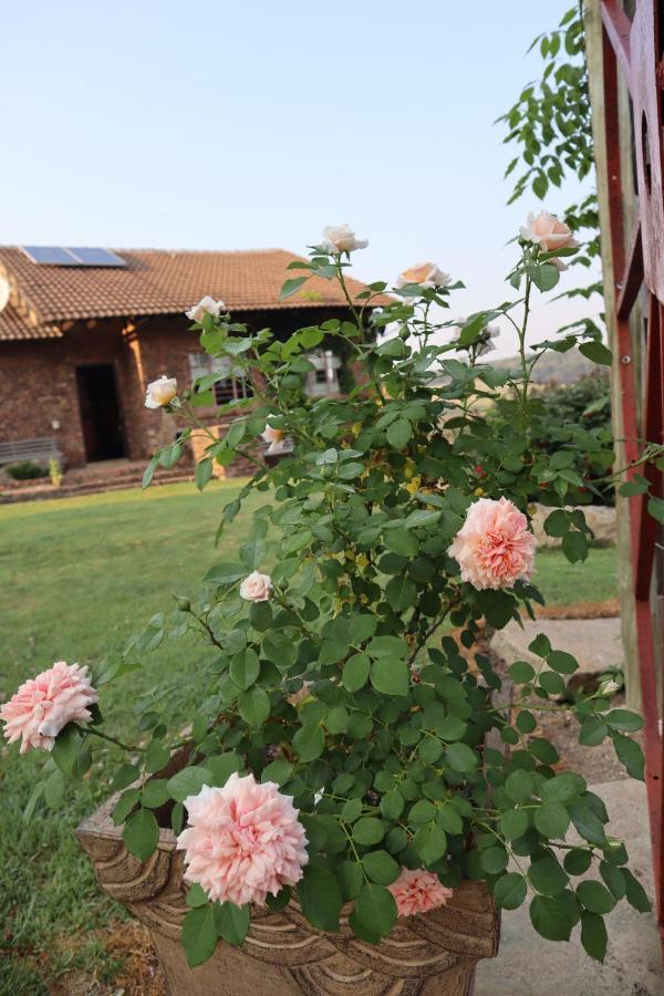 Rocks & Roses Farm Stay Lochiel Exterior photo
